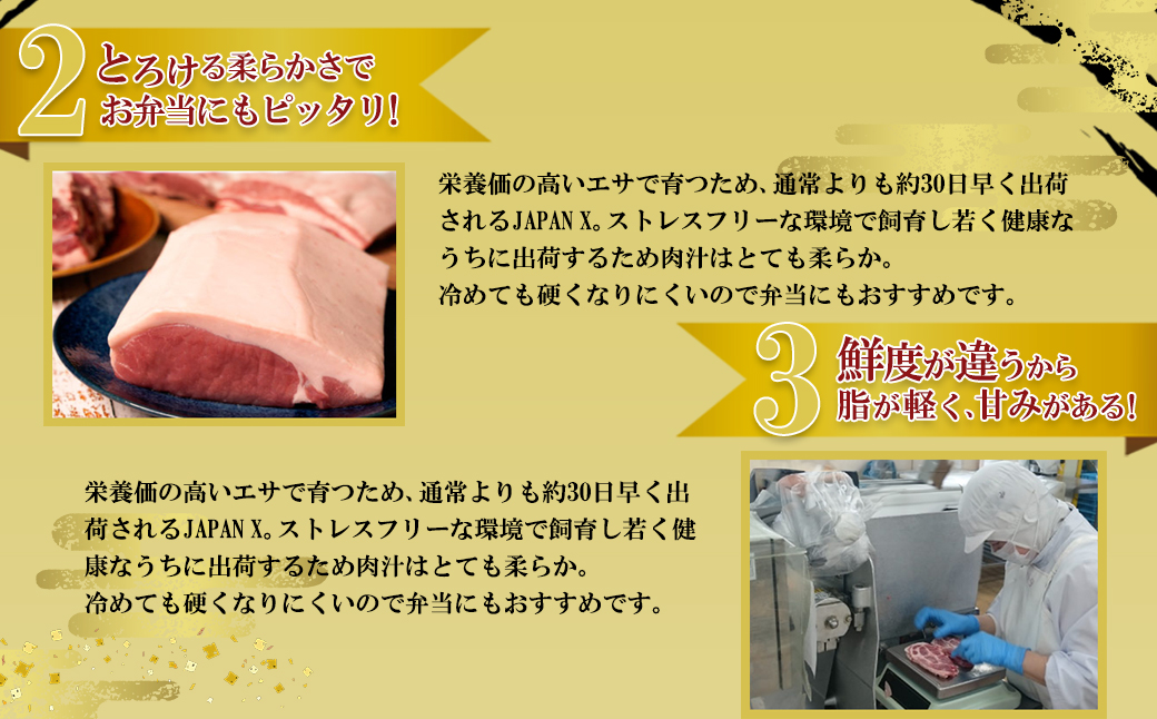 JAPAN X 豚小間切り落とし/計1.8kg　【04301-1032】 豚肉 豚 ブランド豚 小分け 豚こま 豚小間 切落し ジャパンエックス 蔵王 人気