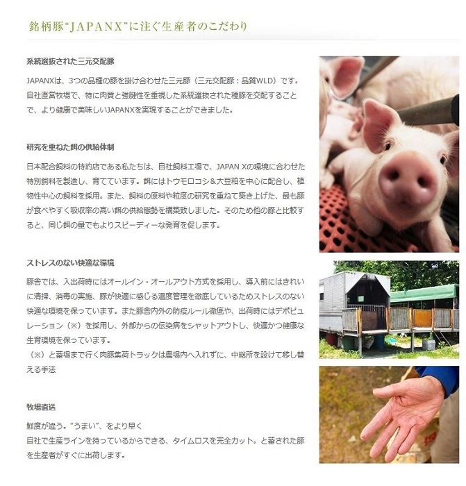 JAPAN10 蔵王からの贈りもの（豚小間、ハンバーグ、肉団子）2，070g