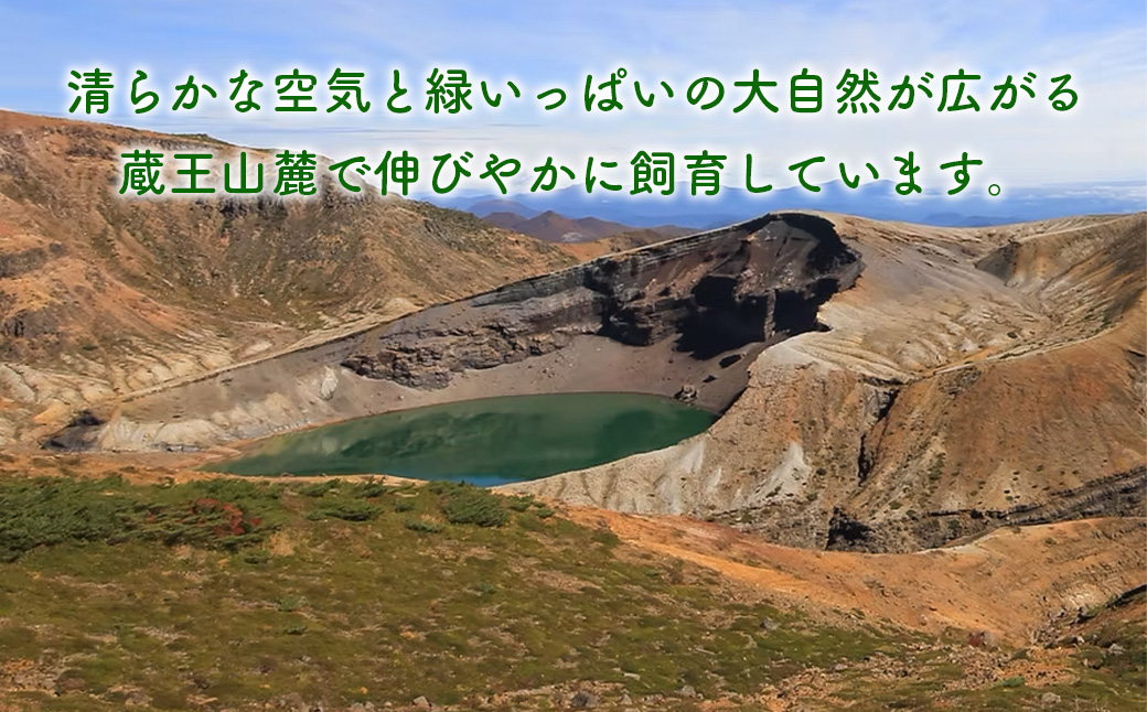 阡オ邇句粋魘ィ縲繧ケ繝「繝シ繧ッ縲繧ゅb繝悶Ο繝繧ッ縲縲04301-0787縲