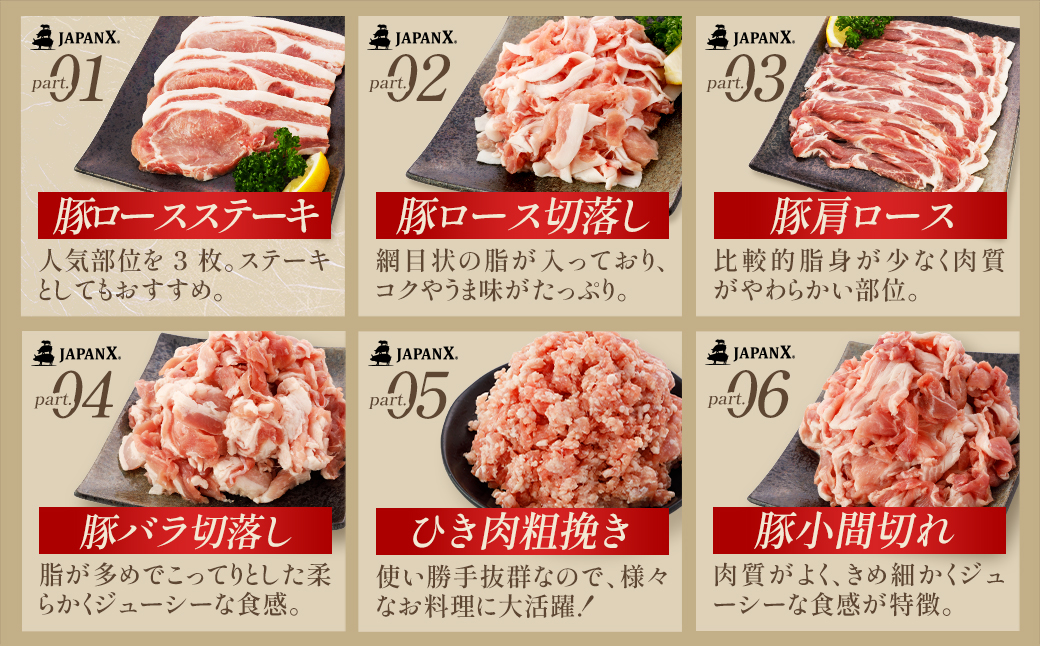 JAPAN X バラエティセット 第2弾 6種 2.5kg　豚肉 豚 ブランド豚 小分け バラエティセット 豚こま 豚バラ 豚ロース ひき肉 ジャパンエックス 蔵王 人気　【04301-0888】