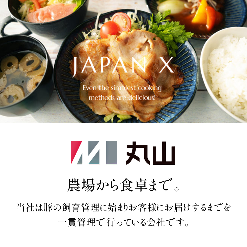 JAPAN X ホルモンバラエティセット2.4kg(モツタンレバーハラミテッポウ）　【04301-0070】