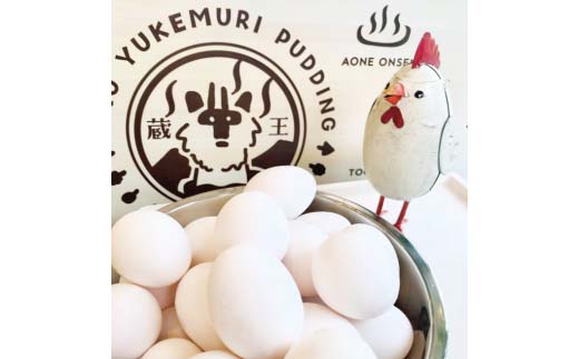 阡オ邇句昴ョ繝励Μ繝ウ蟆る摩蠎励′雍医k縲占鳩邇区疲舌°縺励励Μ繝ウ6蛟九そ繝繝医代縲04301-0341縲