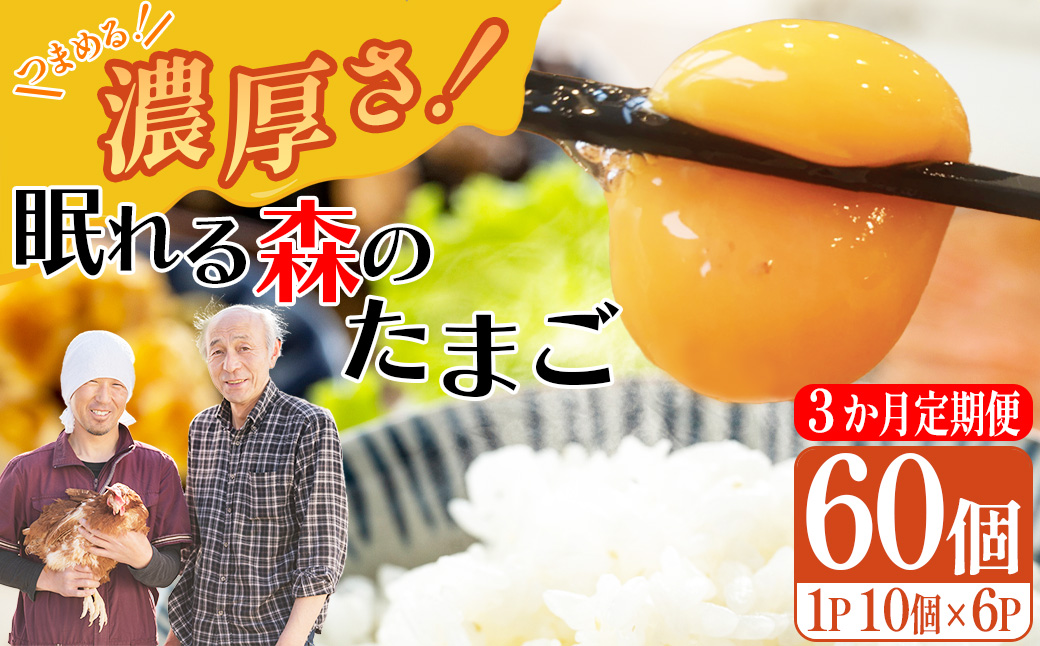 【3か月連続お届け】眠れる森のたまご　朝採れ卵60個   たまご タマゴ 卵 鶏卵 濃厚 こだわり 新鮮　【04301-0794】