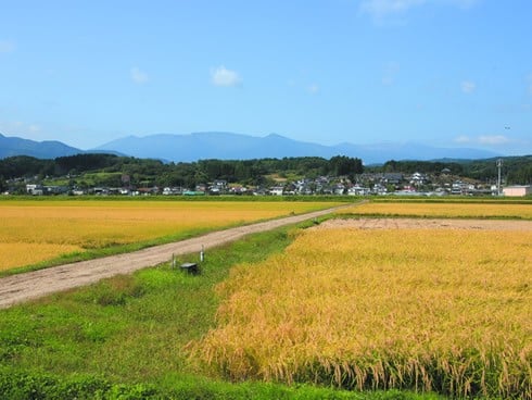 【令和7年産米】蔵王源流米5kg＆季節の恵みセット(3〜5品程度)　【04301-0137】