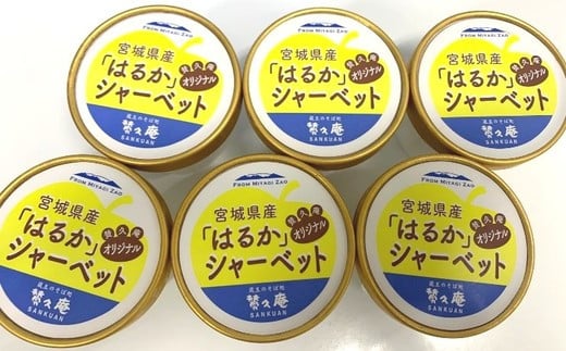 繧翫s縺斐後ッ繧九°縲阪す繝」繝シ繝吶ャ繝医縲04301-0202縲