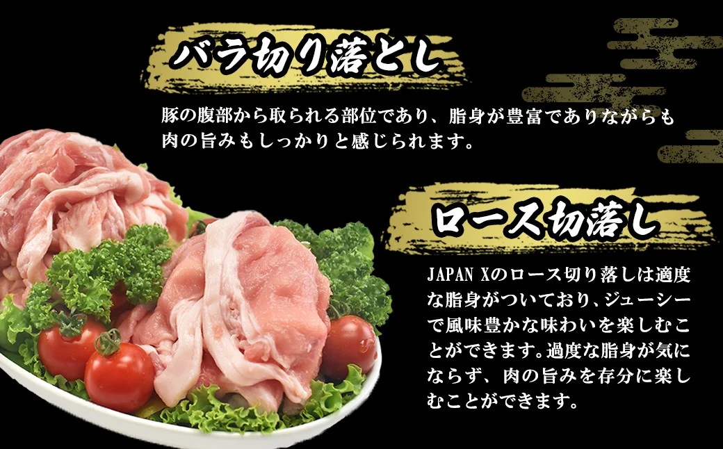 ＜蔵王町産＞JAPAN X　豚肉バラエティセット 3.2kg  　豚肉 豚 ブランド豚 小分け 豚小間 豚こま ひき肉 切落し 豚バラ 豚ロース ジャパンエックス 蔵王 人気 　【04301-0366】