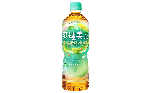 【3か月連続お届け】爽健美茶　600ml PET×24本　【04301-0028】