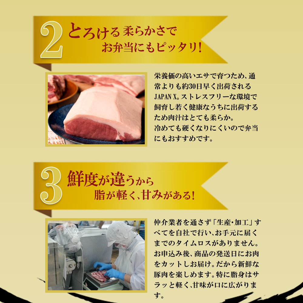 JAPAN X 豚小間切り落とし/計3kg　豚肉 豚 ブランド豚 小分け 豚こま 豚小間 切落し ジャパンエックス 蔵王 人気【04301-0067】