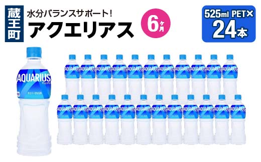 【6か月連続お届け】アクエリアス　500ml PET×24本　【04301-0706】