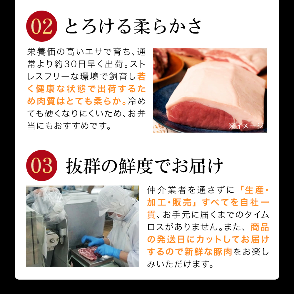ãå®æäŸ¿5ãæãJAPAN X5çš®ã¹ã©ã€ã¹ã»ãã1.8kg ãç空ããã¯ã»ããŒã¹ã»è©ããŒã¹ã»ãã©ã»ã¢ã¢ã»å°éããã04301-0551ã