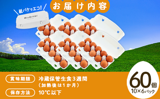 眠れる森のたまご　朝採れ卵60個   たまご タマゴ 卵 鶏卵 濃厚 こだわり 新鮮　【04301-0792】