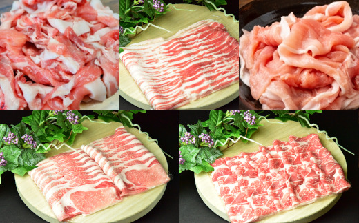 JAPAN X5çš®ã¹ã©ã€ã¹ã»ãã1.8kg ãç空ããã¯ã»ããŒã¹ã»è©ããŒã¹ã»ãã©ã»ã¢ã¢ã»å°éããã04301-0543ã