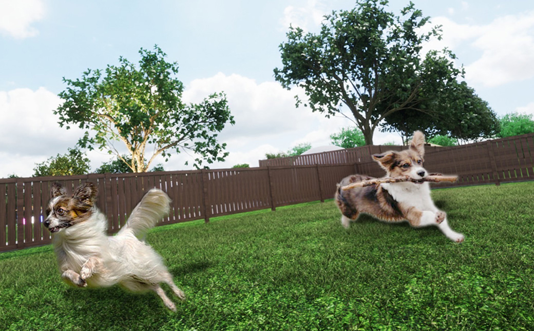 ã1æ³2é£ä»ãChill OutãCHILL OUT GRAMPING ZAO 2åæ§å®¿æ³ãã±ãããã04301-0800ã