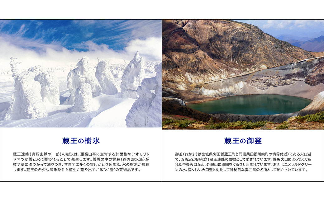 水想い 蔵王連峰の雪どけ天然水（ナチュラルミネラルウォーター） ラベルレス　500ml×42本   水 みず 天然水 ミネラルウォーター 防災 備蓄 人気 ラベルレス ペットボトル 蔵王【04301-0732】