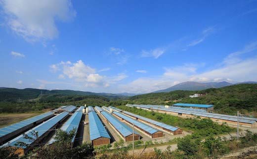 è±èãJAPANXã3çš®ã»1,380gè©°åããèµçããã®èŽããã®ã»ããBããã04301-0189ã