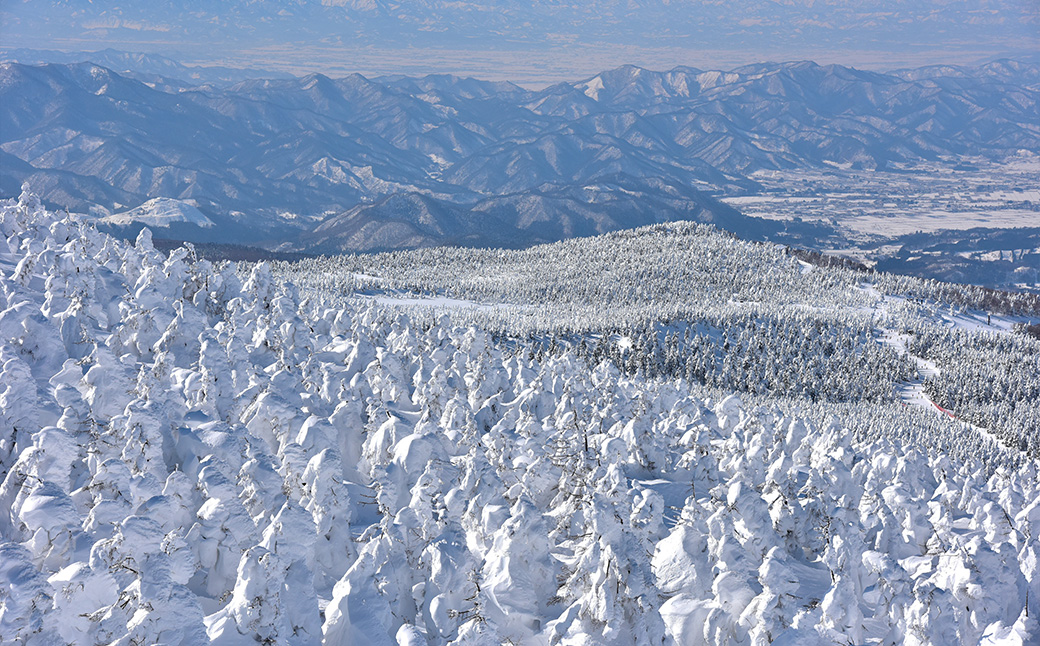 蔵王の絶景を空から！ヘリクルージングツアー付き宿泊　【04301-0943】