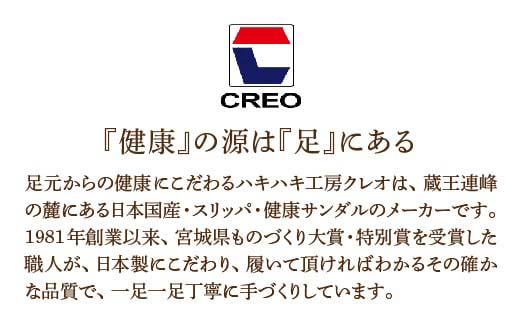 D型セノーテシジラ中黒タタミL（約27.5cmまで） デザインC　【04301-0587-1】
