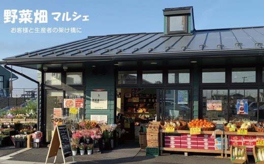 阡オ邇狗是迴蜊オ縺ィ縺願藷蟄舌ョ隧ー蜷医○E縲縲04301-0310縲