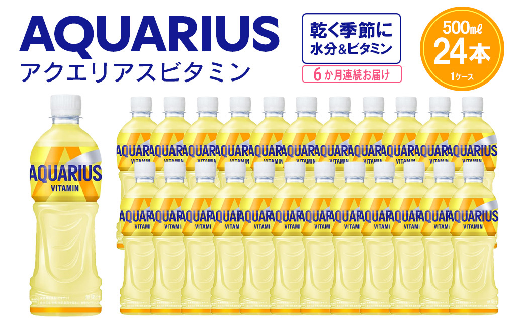 【6か月連続お届け】アクエリアス ビタミン　500ml PET×24本　【04301-0687】