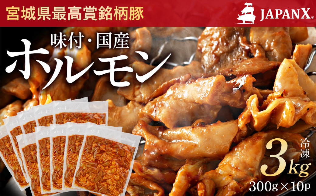 JAPAN X 味付ホルモン 300g×10 計3kg　豚肉 豚 ブランド豚 小分け 豚ホルモン ホルモン ジャパンエックス 蔵王 人気【04301-0882】
