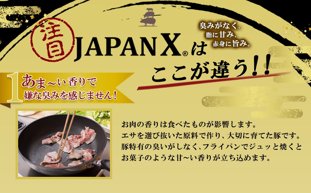 JAPAN X è±ãã©2mmã¹ã©ã€ã¹/èš1.2kgïŒ12æä»¥éé æ¬¡çºéïŒãã04301-1031-12ã