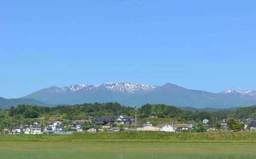 æäœãç²æœããã³ããŒã°ãïŒèµççºç£è±èãJAPAN Xã䜿çšïŒãã04301-0168ã