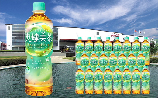 【5か月連続お届け】爽健美茶　600ml PET×24本　【04301-0029】