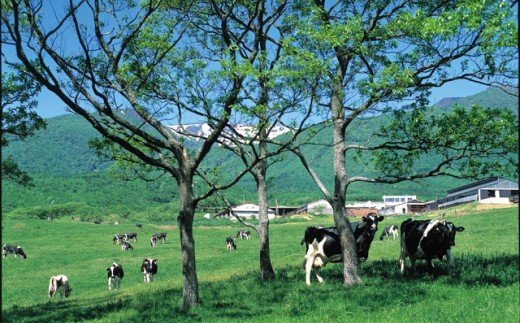 蔵王チーズ　蔵王ミルクキューブ　90g×6個セット　【04301-0817】