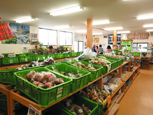 【令和7年産米】蔵王源流米5kg＆季節の恵みセット(3〜5品程度)　【04301-0137】