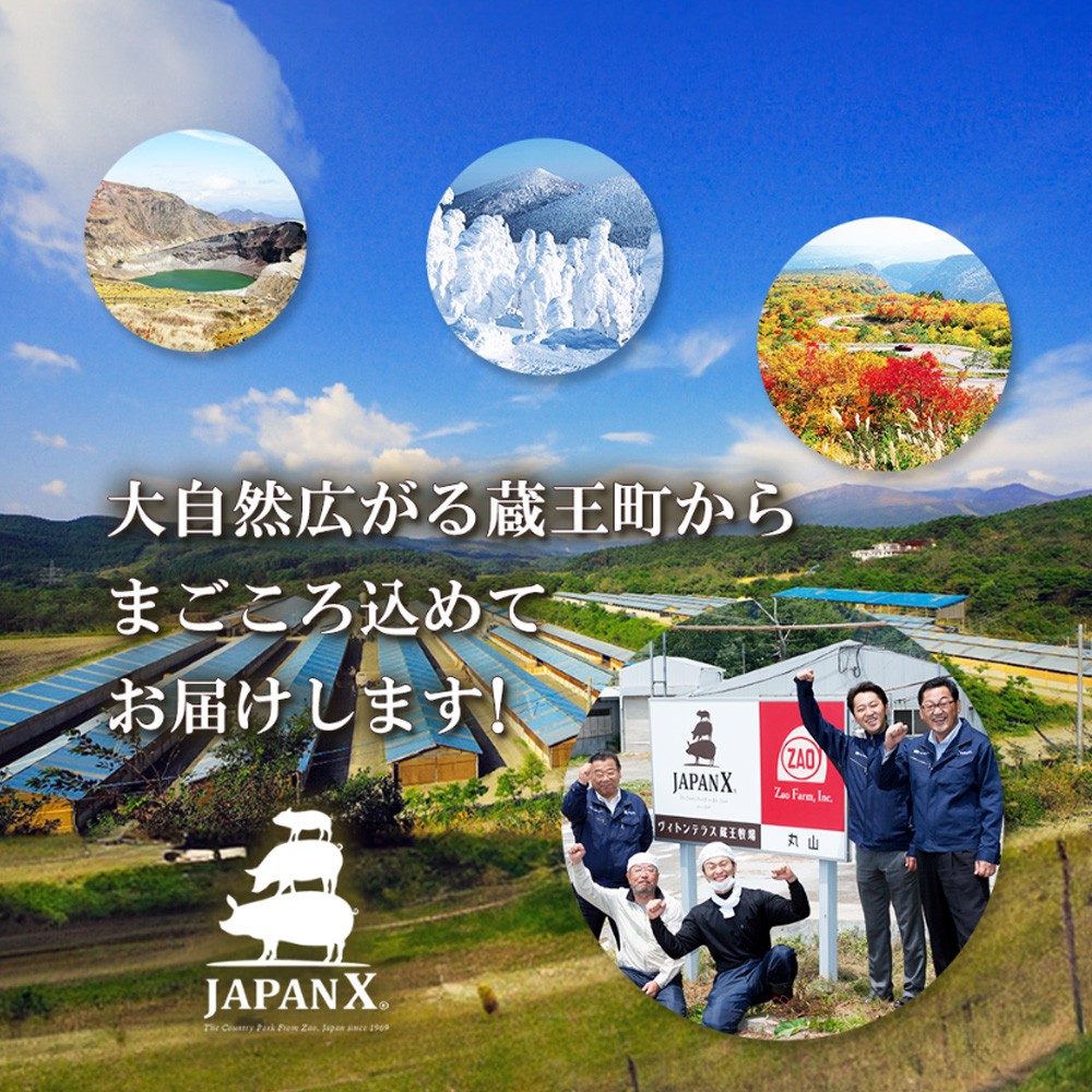 JAPAN X 豚小間切り落とし/計1.8kg　【04301-1032】 豚肉 豚 ブランド豚 小分け 豚こま 豚小間 切落し ジャパンエックス 蔵王 人気