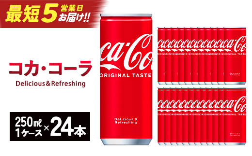 縲先怙遏ュ5蝟カ讌ュ譌・逹シ√代さ繧ォ繝サ繧ウ繝シ繝ゥ 250ml郛カテ24譛ャ縲縲04301-0539縲