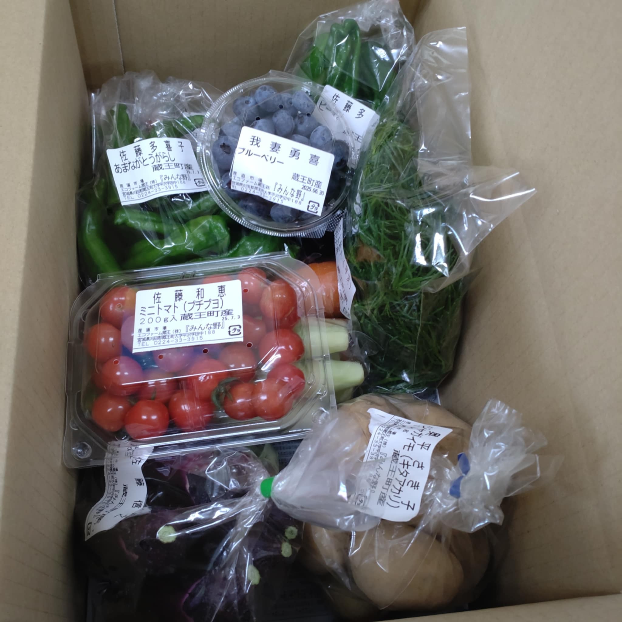 【令和7年産米】蔵王源流米5kg＆季節の恵みセット(3〜5品程度)　【04301-0137】