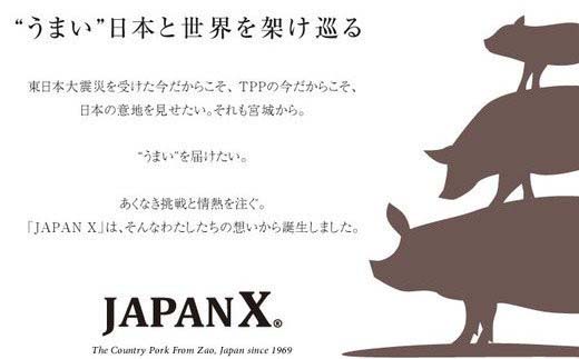 è±èãJAPANXã3çš®ã»1,380gè©°åããèµçããã®èŽããã®ã»ããBããã04301-0189ã