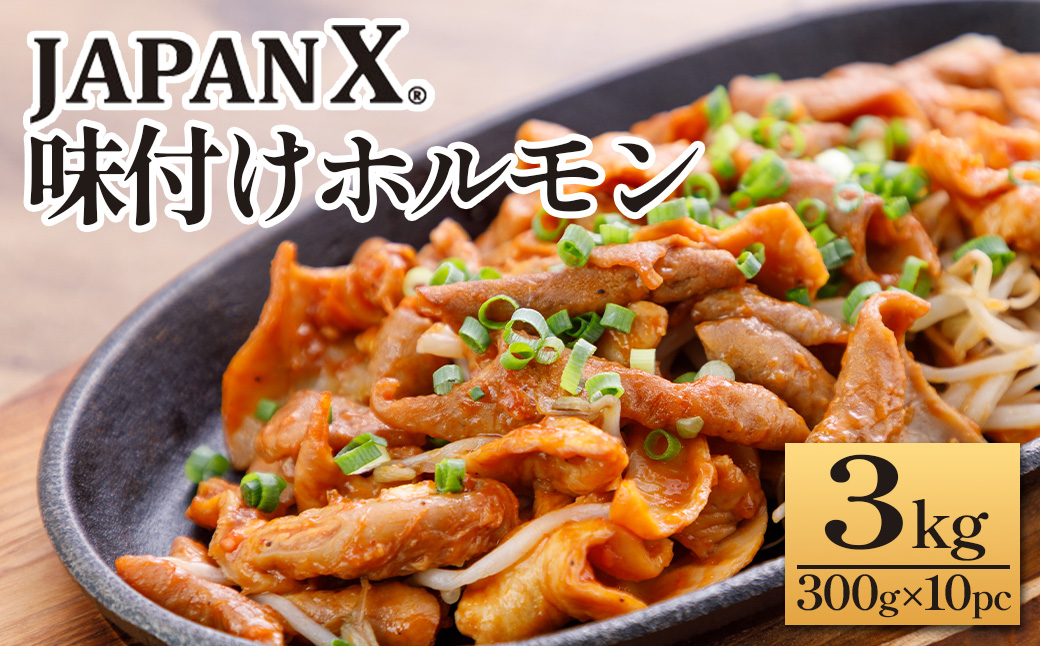 JAPAN X 味付ホルモン 300g×10 計3kg　豚肉 豚 ブランド豚 小分け 豚ホルモン ホルモン ジャパンエックス 蔵王 人気【04301-0882】