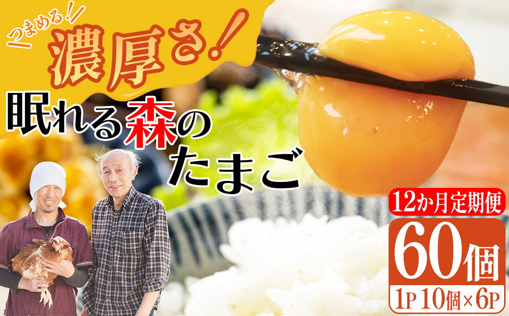 【12か月連続お届け】眠れる森のたまご　朝採れ卵60個   たまご タマゴ 卵 鶏卵 濃厚 こだわり 新鮮　【04301-0796】