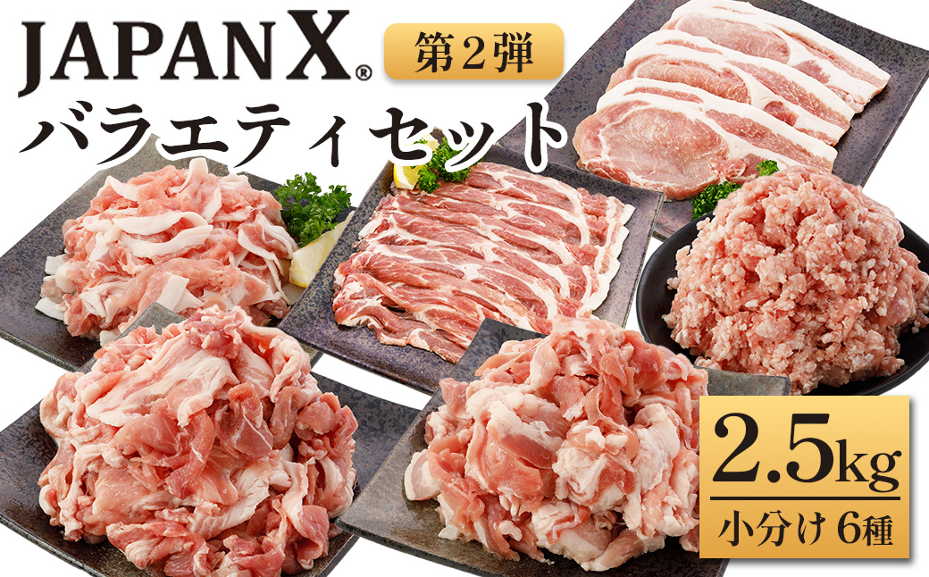 JAPAN X バラエティセット 第2弾 6種 2.5kg　豚肉 豚 ブランド豚 小分け バラエティセット 豚こま 豚バラ 豚ロース ひき肉 ジャパンエックス 蔵王 人気　【04301-0888】