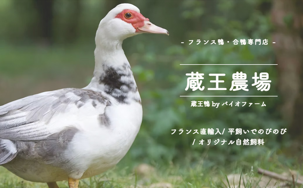 蔵王合鴨　ロース・ももスモークセット　【04301-0785】