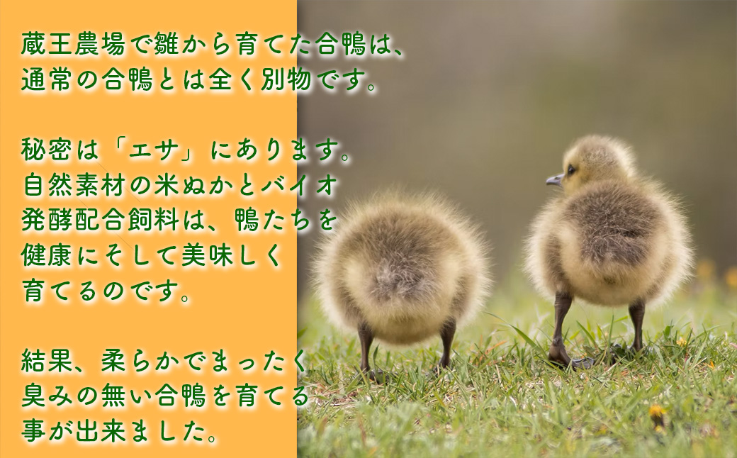 阡オ邇句粋魘ィ縲繧ケ繝「繝シ繧ッ縲繧ゅb繝悶Ο繝繧ッ縲縲04301-0787縲