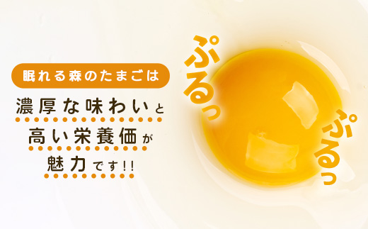 眠れる森のたまご　朝採れ卵60個   たまご タマゴ 卵 鶏卵 濃厚 こだわり 新鮮　【04301-0792】