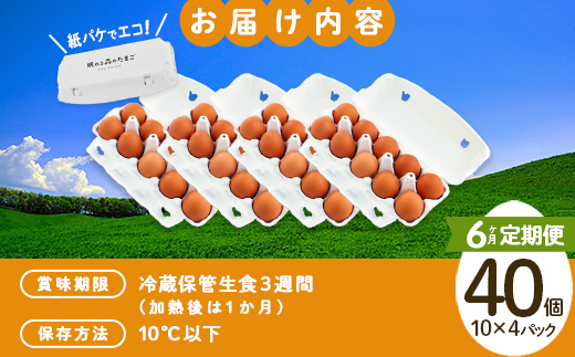 縲6縺区怦騾」邯壹♀螻翫¢縲醍悛繧後k譽ョ縺ョ縺溘∪縺 譛晄治繧悟嵯40蛟九縺溘∪縺 繧ソ繝槭ざ 蜊オ 鮓丞嵯 豼蜴 縺薙□繧上j 譁ー魄ョ 螳壽悄萓ソ縲縲04301-0798縲