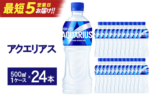 【最短5営業日着！】アクエリアス 500mlPET×24本　【04301-0039】