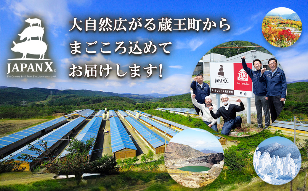 JAPAN X ベーコン840g（280g×3）　豚肉 豚 ブランド豚 小分け ハム ベーコン ジャパンエックス 蔵王 人気【04301-0766】