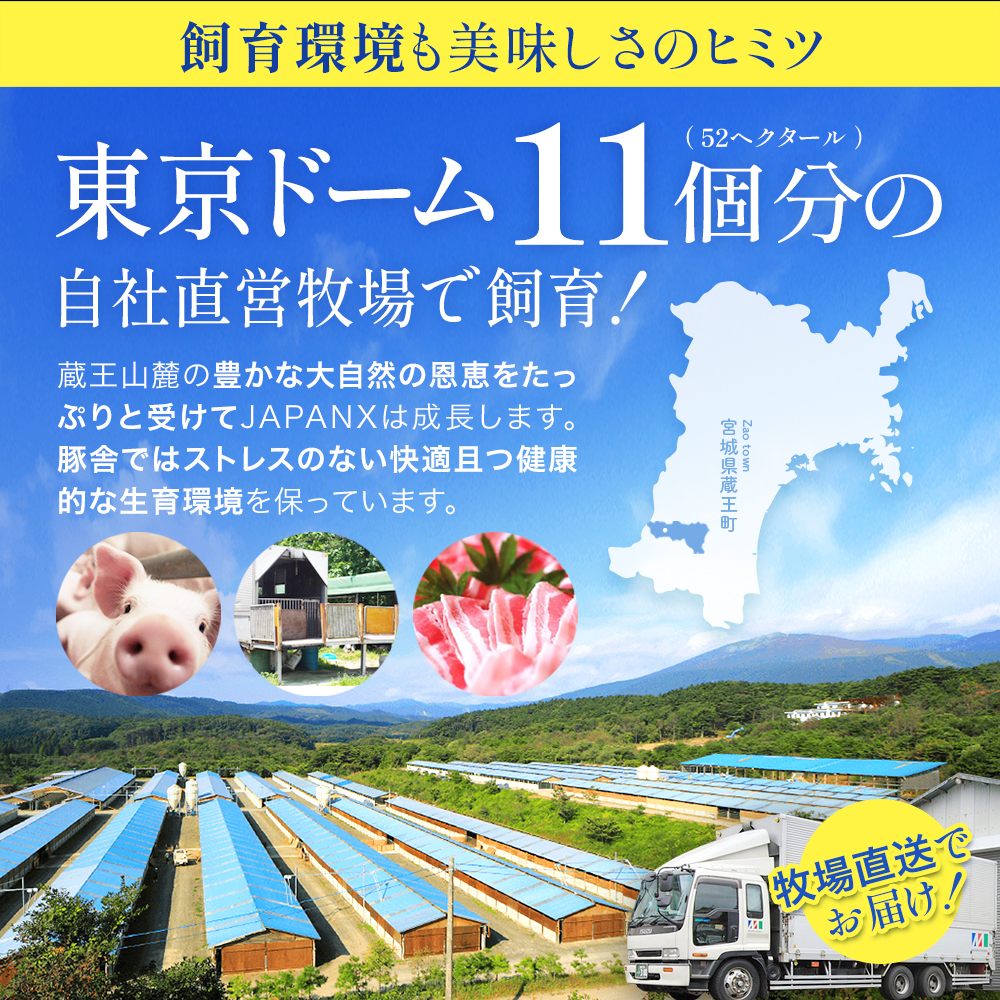 JAPAN X3種スライスセット2.8kg(バラ肩ロース小間)　【04301-0096】