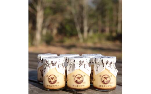 阡オ邇句昴ョ繝励Μ繝ウ蟆る摩蠎励′雍医k縲占鳩邇区疲舌°縺励励Μ繝ウ6蛟九そ繝繝医代縲04301-0341縲