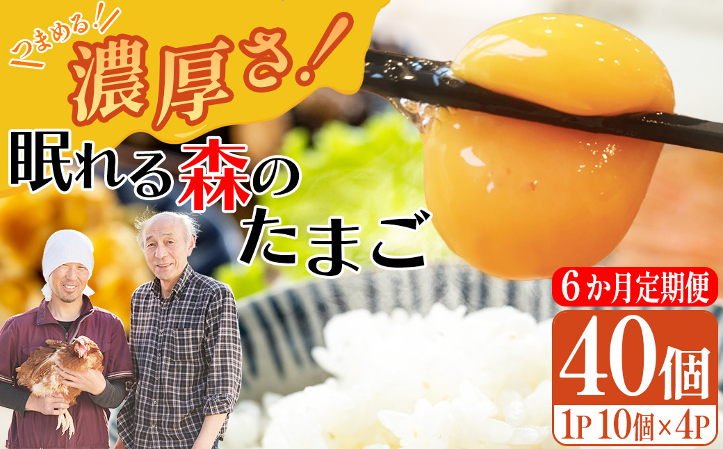 【6か月連続お届け】眠れる森のたまご 朝採れ卵40個　たまご タマゴ 卵 鶏卵 濃厚 こだわり 新鮮 定期便　【04301-0798】