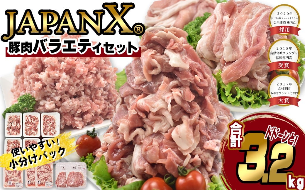 ＜蔵王町産＞JAPAN X　豚肉バラエティセット 3.2kg  　豚肉 豚 ブランド豚 小分け 豚小間 豚こま ひき肉 切落し 豚バラ 豚ロース ジャパンエックス 蔵王 人気 　【04301-0366】