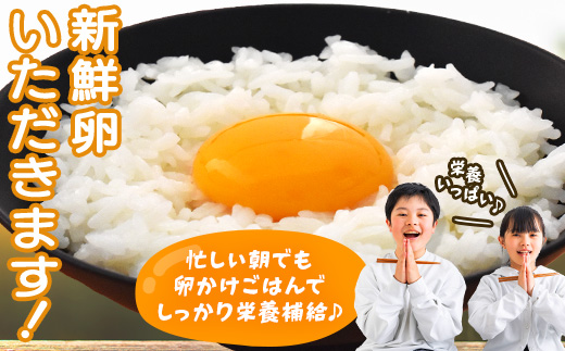 縲6縺区怦騾」邯壹♀螻翫¢縲醍悛繧後k譽ョ縺ョ縺溘∪縺 譛晄治繧悟嵯40蛟九縺溘∪縺 繧ソ繝槭ざ 蜊オ 鮓丞嵯 豼蜴 縺薙□繧上j 譁ー魄ョ 螳壽悄萓ソ縲縲04301-0798縲