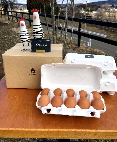 縲2縺区怦騾」邯壹♀螻翫¢縲醍悛繧後k譽ョ縺ョ縺溘∪縺斐譛晄治繧悟嵯60蛟 縺溘∪縺 繧ソ繝槭ざ 蜊オ 鮓丞嵯 豼蜴 縺薙□繧上j 譁ー魄ョ縲縲04301-0793縲