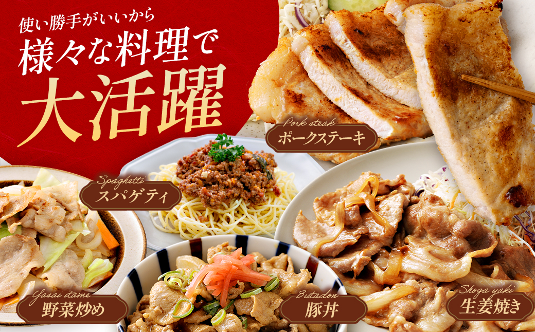 JAPAN X バラエティセット 第2弾 6種 2.5kg　豚肉 豚 ブランド豚 小分け バラエティセット 豚こま 豚バラ 豚ロース ひき肉 ジャパンエックス 蔵王 人気　【04301-0888】