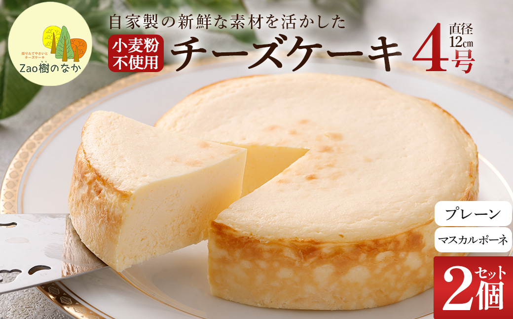 【選べる組合せ】蔵王のチーズケーキ専門店 選べるチーズケーキ＜プレーンチーズケーキ・マスカルポーネ＞　【04301-1034-2】